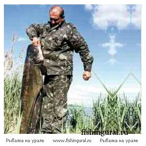 http://www.fishingural.ru/uploads/posts/2012-01/1327649125_lovlya-soma-na-donku-na-vorskle-1.jpg