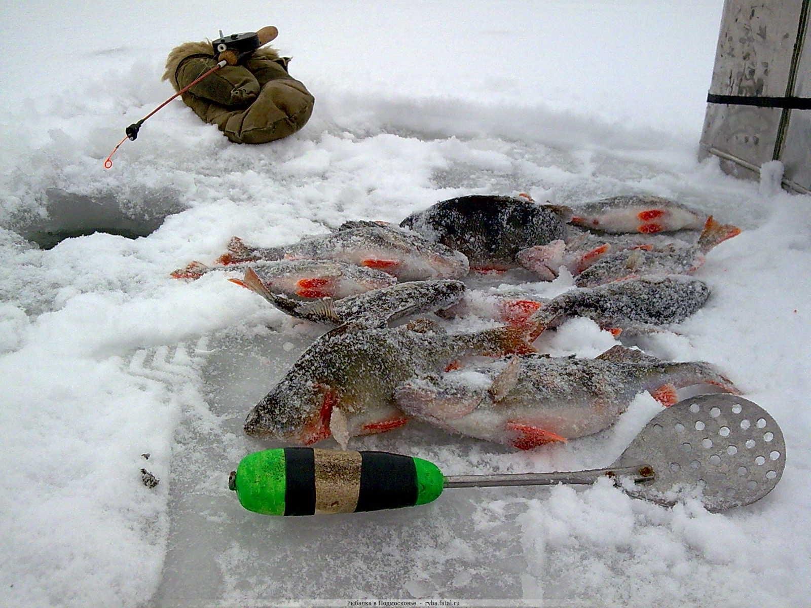  рыбалка зимой
