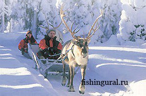 Наша Suomi или Back in USSR