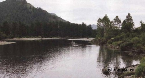 Рыбалка в горных реках Монголии