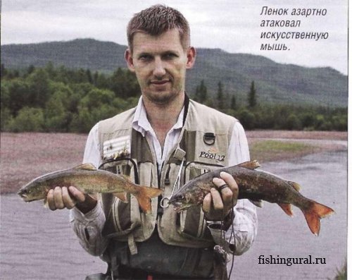 Рыбалка в горных реках Монголии