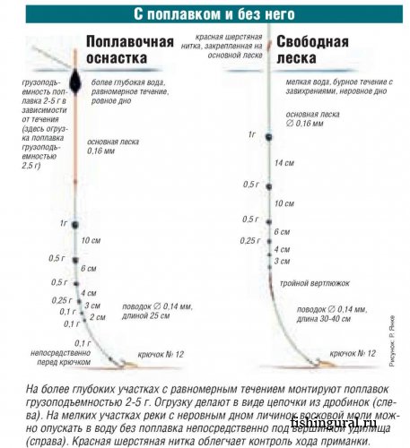 Излюбленные личинки