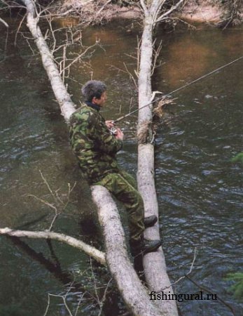 Рыбалка в лесных реках