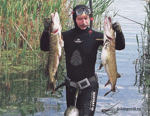 Рыбалка в астрахани "Астраханские ильмени"