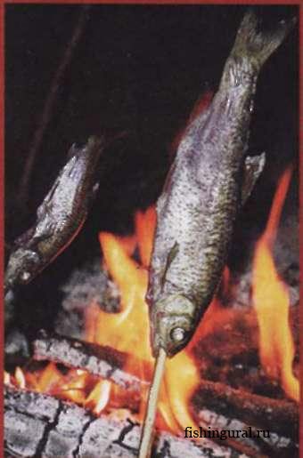 Методы приготовления рыбы в полевых условиях