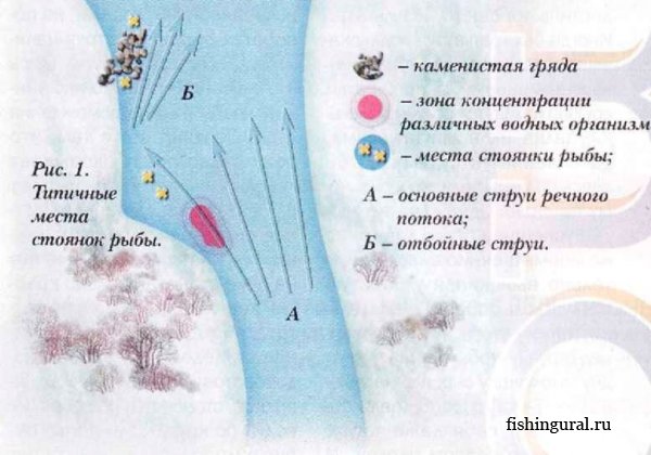 Зимняя рыбалка. Опыт ловли на реках