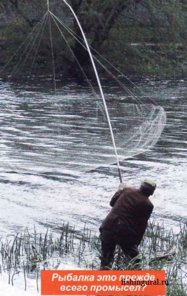 Рыболовный закон