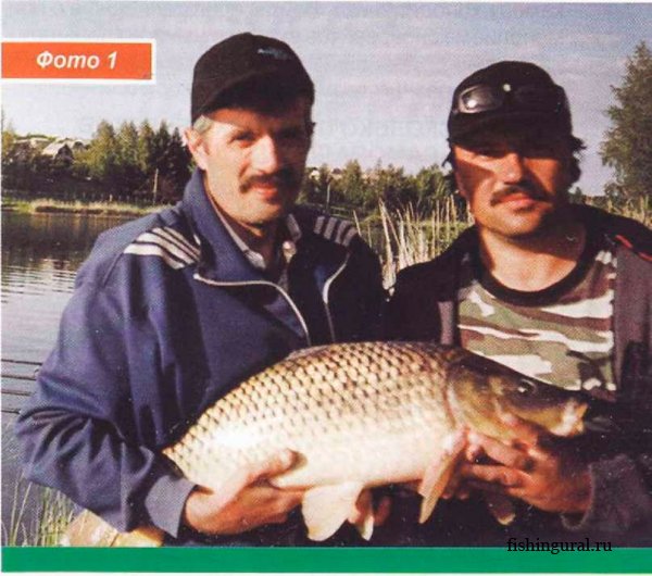 Бойлы на карпа