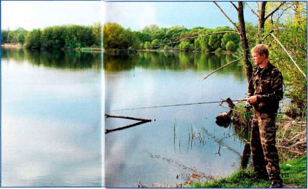 Рыбалка в городе Губкине