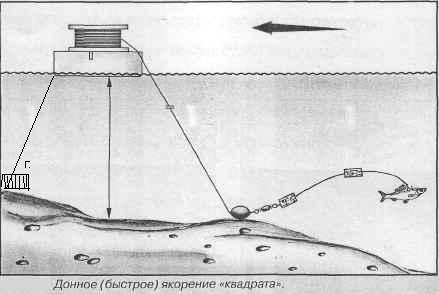 Кружки на щуку