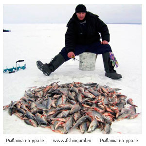 Удочка для рыбалки в зимний период