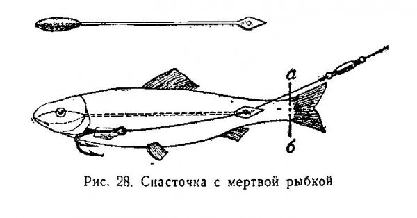 Воздействие на хищнический инстинкт