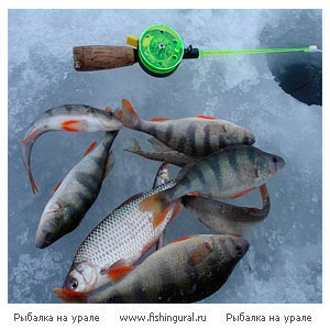 Прелести зимней рыбалки