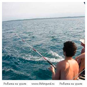 Рыбалка в Японском море