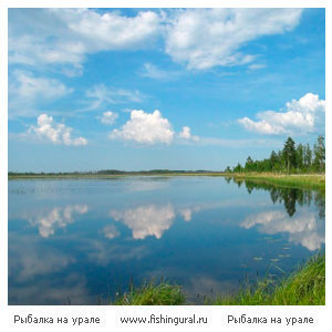 Рыбалка на берегу любимого озера