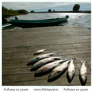 Рыбалка на Взморье