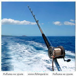 Рыбалка на Адриатическом море
