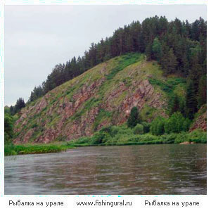 Рыбалка на реке Яя
