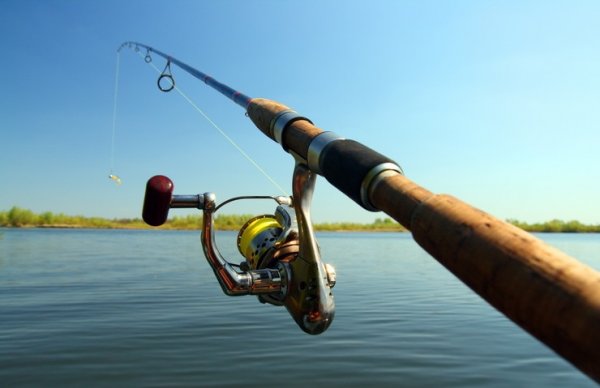 Факторы, влияющие на успех ловли рыбы на спиннинг