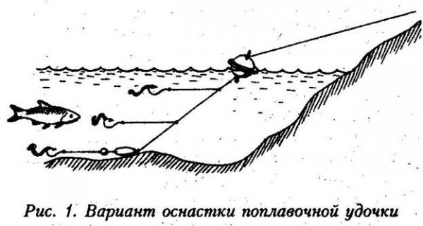 Как поймать голавля