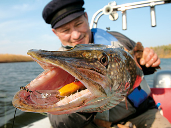 Специфика рыбалки на реке Волга