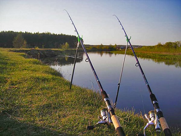 Фидерные снасти для весенней рыбалки