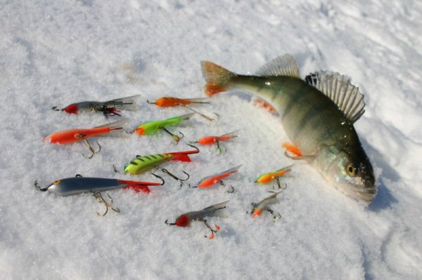 Снасти для зимней рыбалки - какие выбрать?