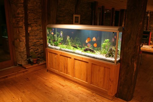 Как выбрать аквариум 