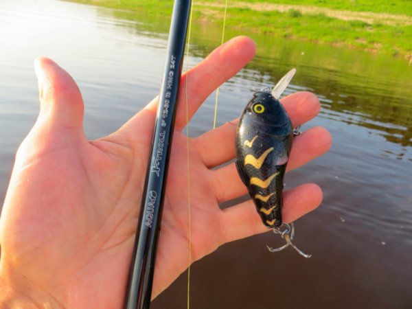 Летняя рыбалка на щуку