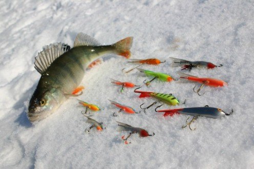 Способы лова рыбы зимой
