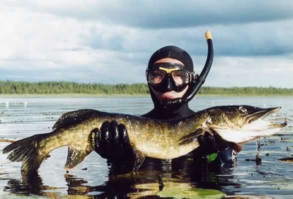 Подводная рыбалка