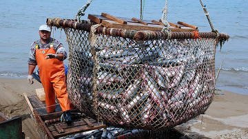 Ловля рыбы у берегов Каспийского моря