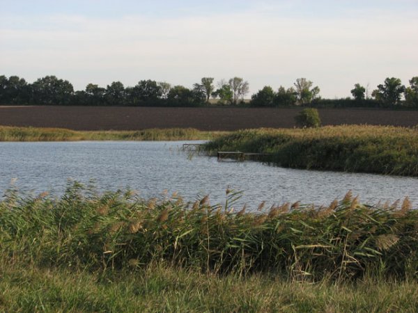 Рыбная ловля на водоеме