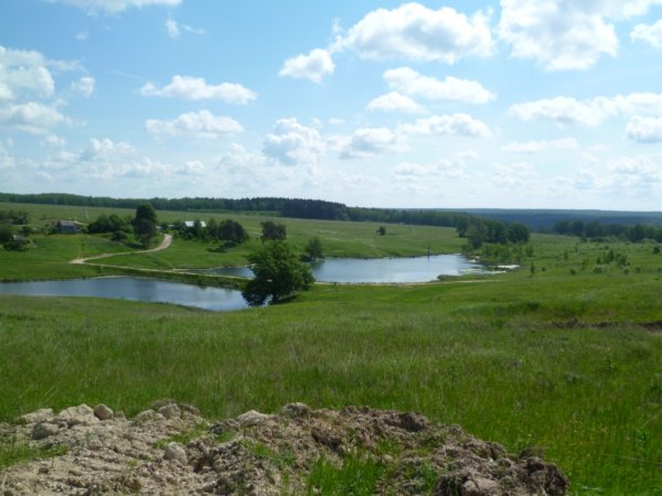 Платная рыбалка в Подмосковье