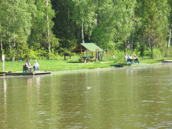 Платная рыбалка в Подмосковье