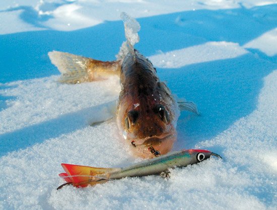 Зимняя рыбалка. Особенности  