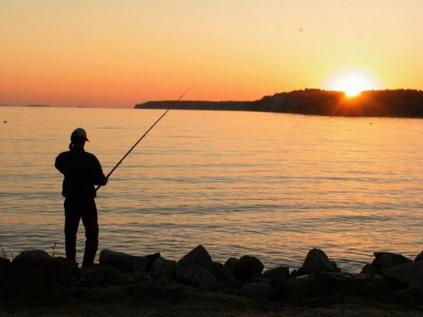 Как правильно выбрать рыболовную снасть