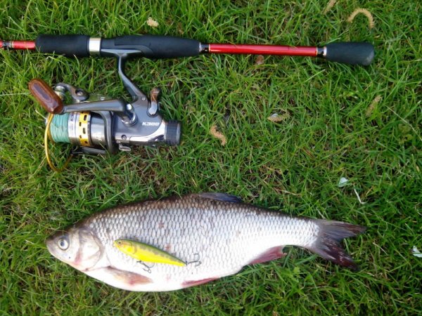 Воблеры Storm Smash Shad