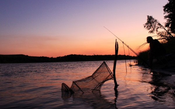 Что необходимо знать для комфортной летней ночной рыбалки