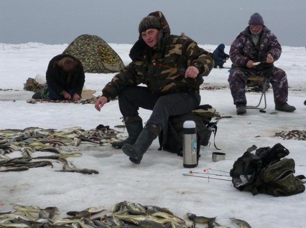 Снаряжение для успешной рыбалки