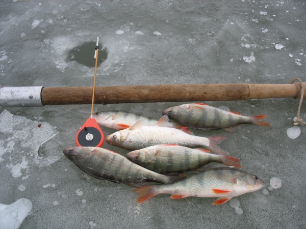 Зимняя рыбалка: выбор участка