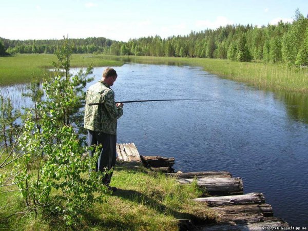 Курс начинающего рыболова