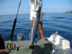 Рыбалка на море у островов Бали