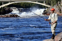 в Швецию на прекрасную рыбалку!