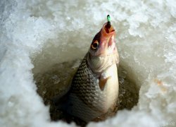 Зимняя рыбалка и ее преимущества