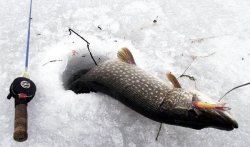 Зимняя рыбалка и ее преимущества