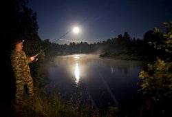 Что следует взять с собой на ночную рыбалку?