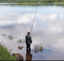 Способы ловли густеры в водоемах и ее прикармливание