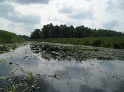 Водоем мего детства