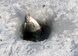 Как сделать так чтобы на зимней рыбалке леска и лунка не замерзала